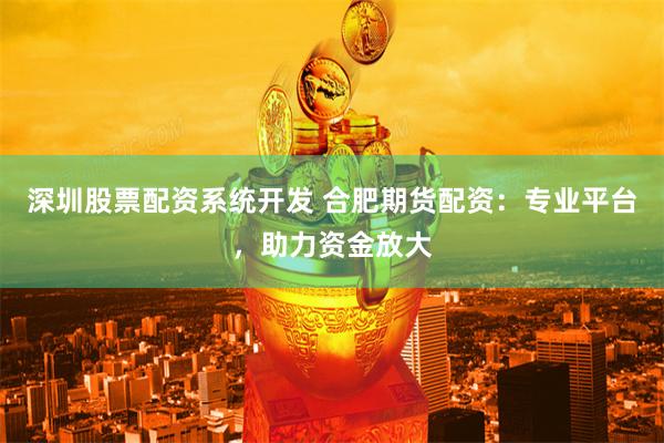 深圳股票配资系统开发 合肥期货配资：专业平台，助力资金放大